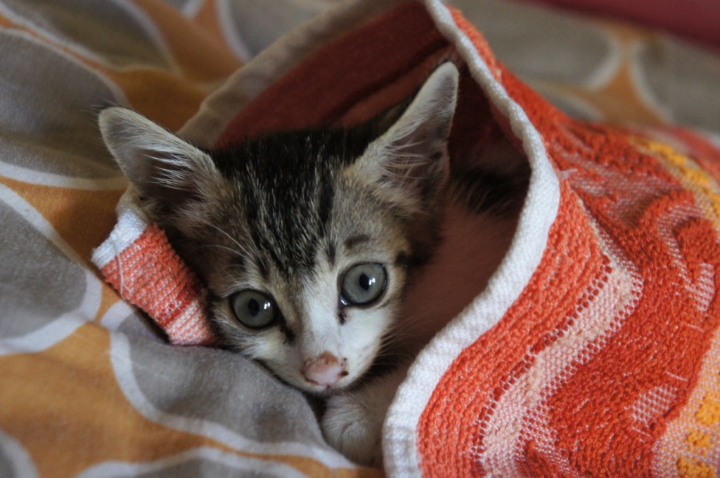 Little