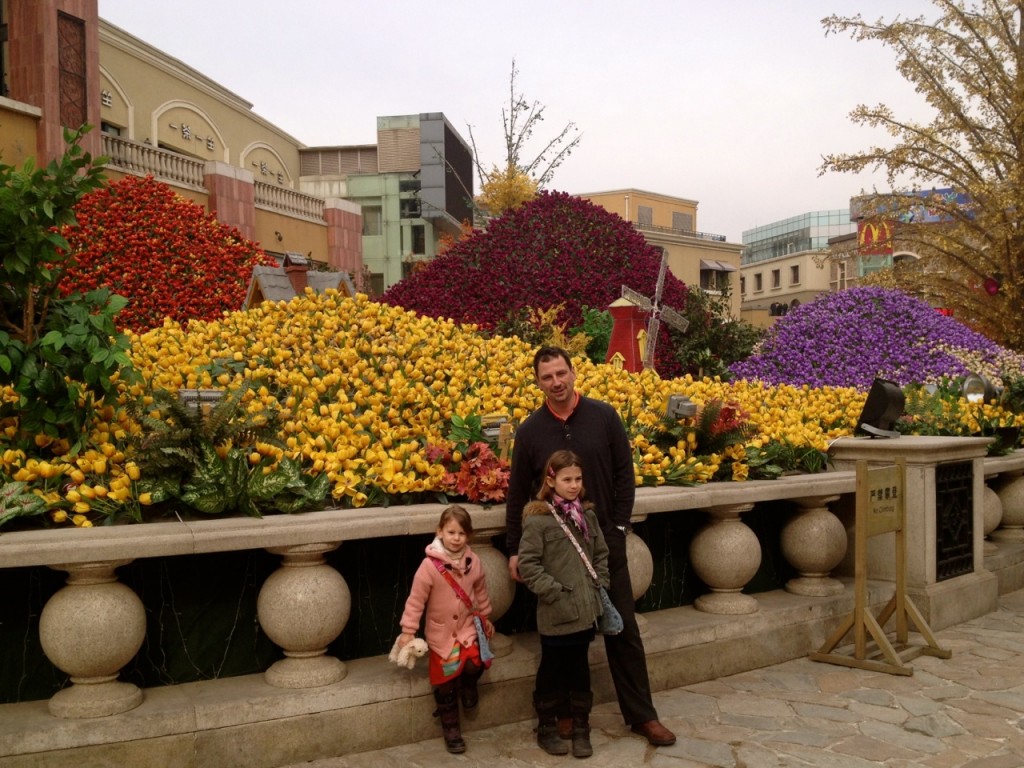 Blumen Flowers