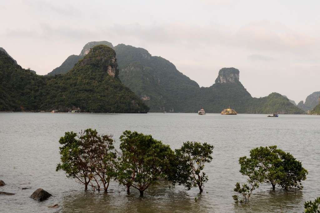 Halong
